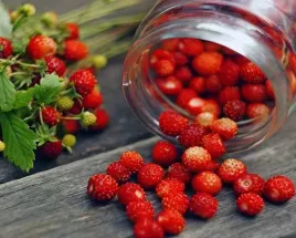 poziomka-wielkoowocowa-regina-002g-nasion