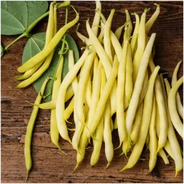 fasola-elektra-szparagowa-bezwloknista-zolta-odporna-nasiona-10-g