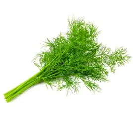 koper-ogrodowy-nasiona-szmaragd-aromatyczny-eko