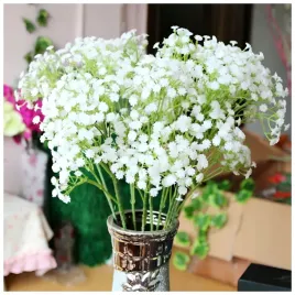 gipsowka-wiechowata-biala-ozdoba-twojego-ogrodu-nasiona-05-g