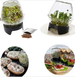 zestaw-kielkownica-sloikowa-z-nasionami-kielkownica-w-sloiku-580ml