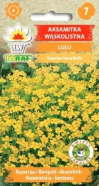 aksamitka-waskolistna-lulu-05g-toraf-nasiona-408