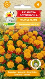 aksamitka-rozpierzchla-orange-flame-05g-toraf-nasiona-407