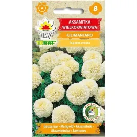 aksamitka-wielkokwiatowa-kilimanjaro-toraf-nasiona-412