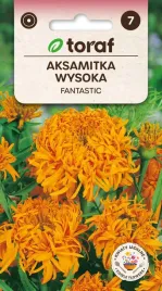 nasiona-kwiat-aksamitka-wysoka-fantastic-pomaranczowa-nasiona-414