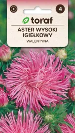 aster-igielkowy-walentyna-nasiona-kwiatow-toraf-427