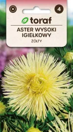 aster-wysoki-igielkowy-zolty-nasiona-429-nasiona-toraf