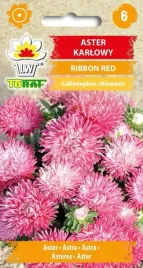 aster-karlowy-ribbon-red-nasiona-kwiatow-432-toraf