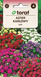 aster-karlowy-mix-kolorow-toraf-434-nasiona