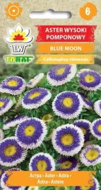 aster-wysoki-pomponowy-blue-moon-nasiona-kwiatow-442-toraf