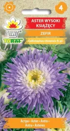 aster-wysoki-ksiazecy-zefir-nasiona-kwiatow-443-toraf