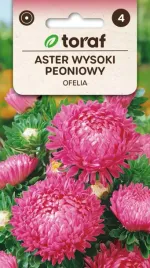 aster-wysoki-peoniowy-ofelia-nasiona-kwiatow-446-toraf