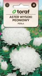 aster-wysoki-peoniowy-perla-nasiona-kwiatow-447-toraf