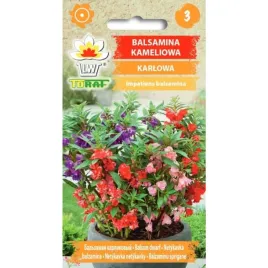 balsamina-kameliowa-karlowa-nasiona-kwiatow-451-toraf