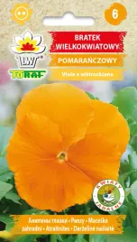 bratek-wielkokwiatowy-pomaranczowy-nasiona-kwiatow-458-toraf
