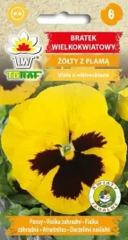 bratek-wielkokwiatowy-zolty-z-plama-nasiona-kwiatow-460-toraf