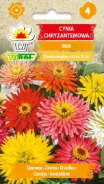 cynia-chryzantemowa-mix-nasiona-kwiatow-470-toraf