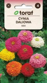 cynia-daliowa-mix-nasiona-kwiatow-474-toraf