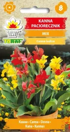 kanna-paciorecznik-mix-mieszanka-nasiona-kwiatow-532-toraf