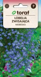 lobelia-zwisajaca-niebieska-nasiona-kwiatow-552-toraf