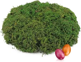 mech-dekoracyjny-wielkanocny-naturalny-diy-200g-dekoracja-na-wielkanoc