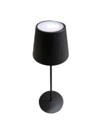 nowoczesna-czarna-lampa-stolowa-stojaca-led-rgb