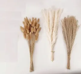 trawa-pampasowa-boho-kompozycja-4-rozne-style-idealne-do-wnetrz-ogrodow