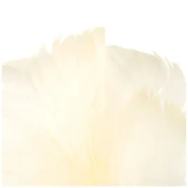 piorka-w-torebce-dekoracyjne-puch-piora-ozdobne-ecru-do-prac-kreatywnych