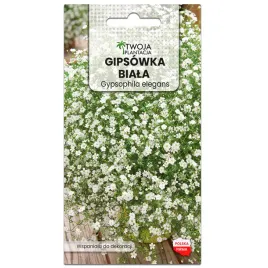 gipsowka-biala-nasiona-gypsophila-elegans-na-bukiety-wabi-motyle-300-nasion