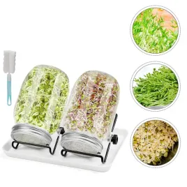 sloik-do-kielkowania-nasion-kielkownik-szklany-sloj-nasiona-kielki-zestaw