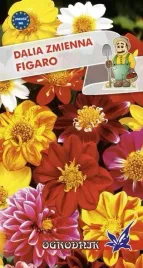 dalia-zmienna-figaro-mieszanka-05g-o