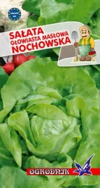 salata-glowiasta-maslowa-nochowska-2g-o