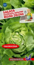 salata-glowiasta-maslowa-regina-2g-o