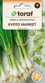cebula-siedmiolatka-kyoto-market-2g-t