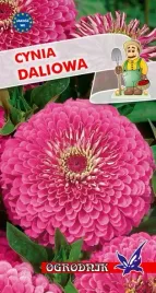 cynia-daliowa-illumination-rozowa-1g-o