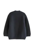 next-sweter-chlopiecy-r-80-stan-nowy