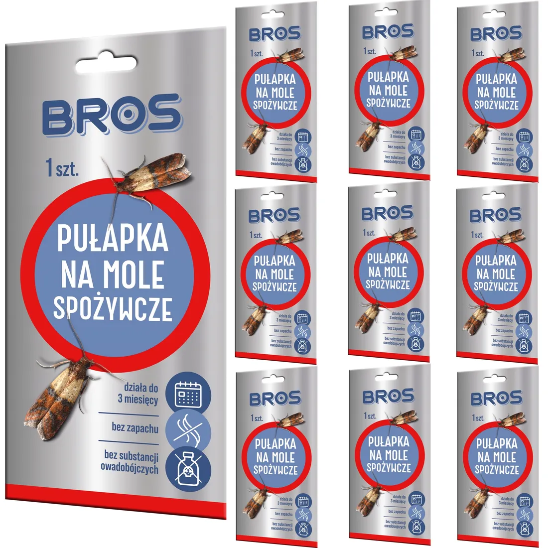 pulapka-przeciwko-molom-bros-stan-nowy