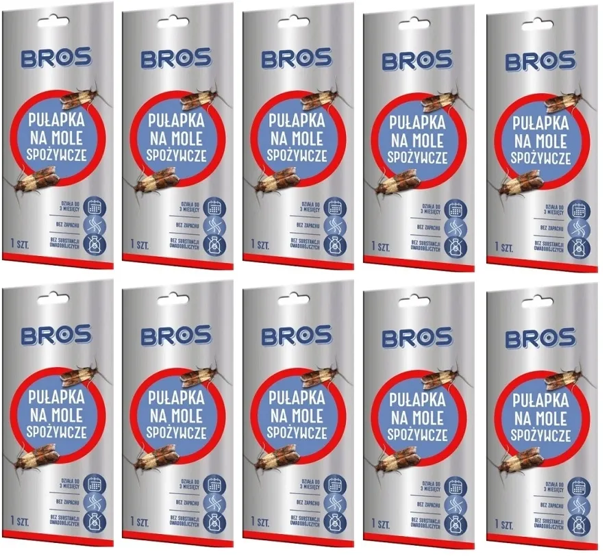 pulapka-przeciwko-molom-bros-stan-nowy