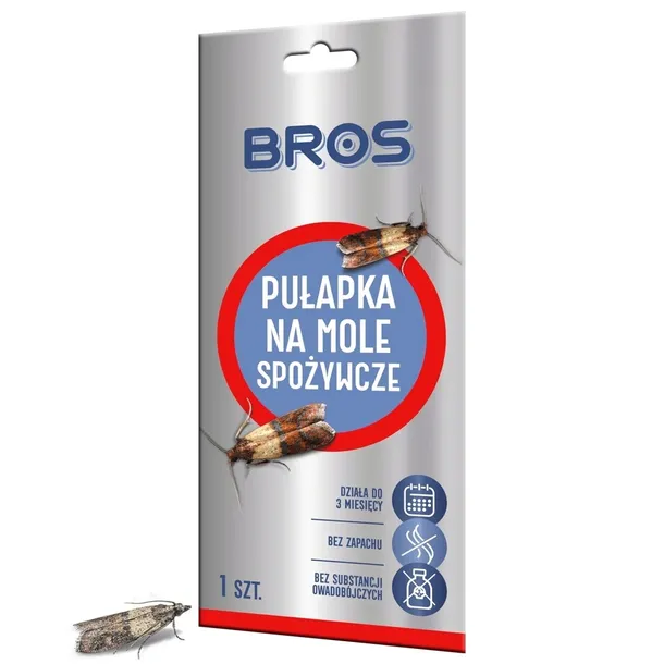 pulapka-przeciwko-molom-bros-zawiera-baterie-nie