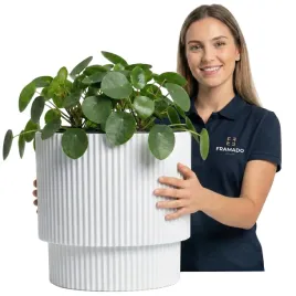 donica-doniczka-oslonka-biala-40-cm-z-wkladem-do-wnetrz-i-ogrodu-polski