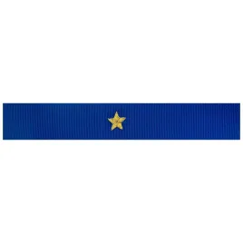 otok-do-czapki-garnizonowej-psp-aspirant-ml-brygadier-zloty-haft-straz