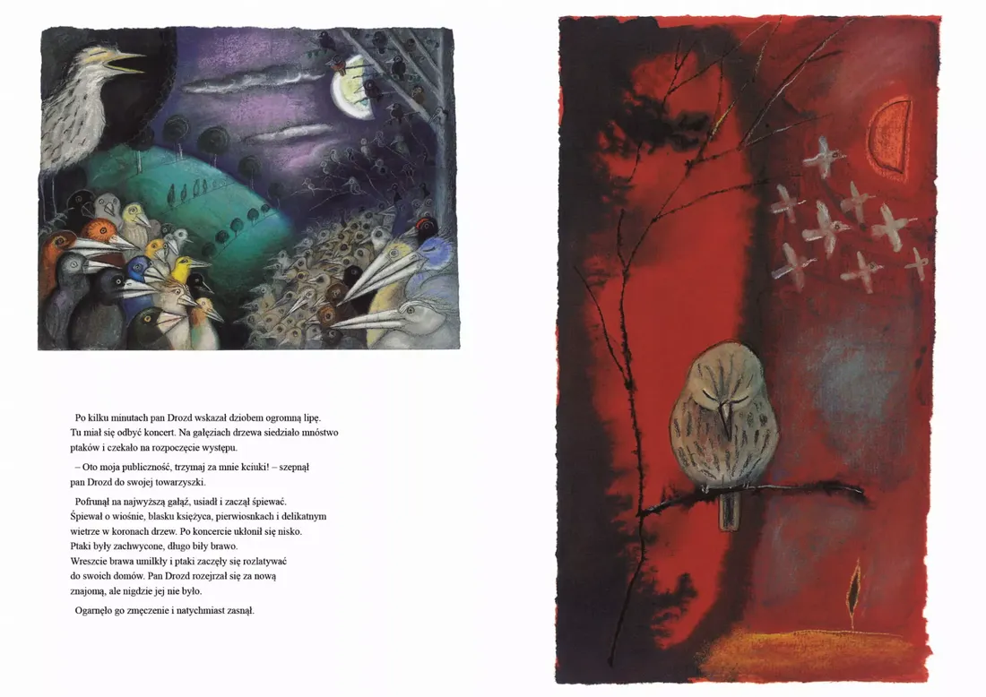 pani-drozdowa-stan-nowy