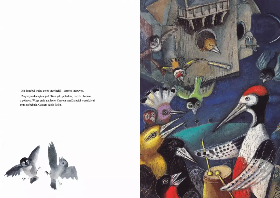 pani-drozdowa-stan-nowy