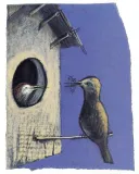 pani-drozdowa-jezyk-polski