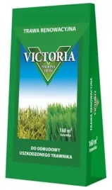 trawa-renowacyjna-mieszanka-nasion-na-gesty-i-zdrowy-trawnik-4kg