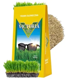 trawa-nasiona-victoria-sloneczna-na-suche-tereny-4kg