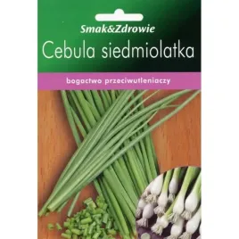 cebula-siedmiolatka-nasiona-na-szczypior-soczysty-delikatny