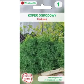 koper-ogrodowy-nasiona-kopru-herkules-5g