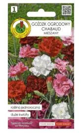 gozdzik-ogrodowy-mieszany-nasiona-duzych-pachnacych-kwiatow-02-g-1-szt