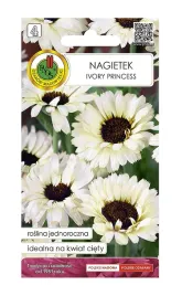 nagietek-jasnokremowy-nasiona-na-obfite-kwiaty-ciete-01-g-1-szt